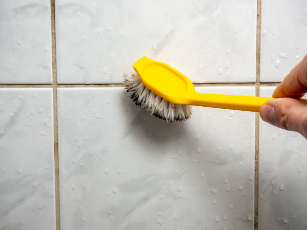 Best Affordable Mold Removal  in Roslyn, PA