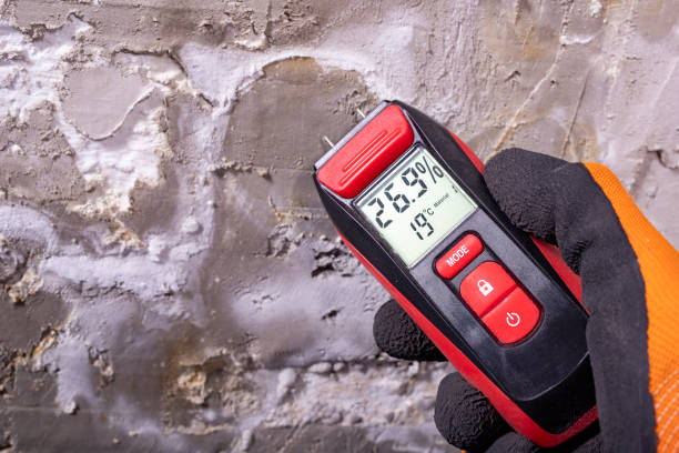 Best Commercial Mold Removal  in Roslyn, PA