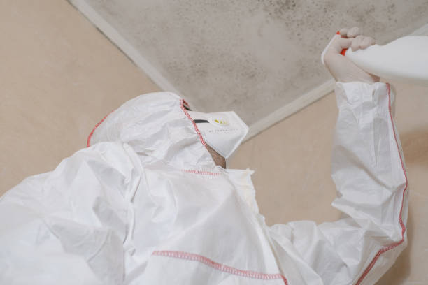 Best Commercial Mold Removal  in Roslyn, PA