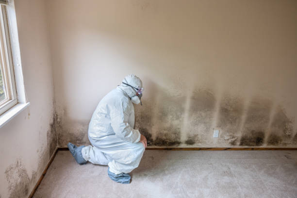 Best Crawl Space Mold Removal  in Roslyn, PA